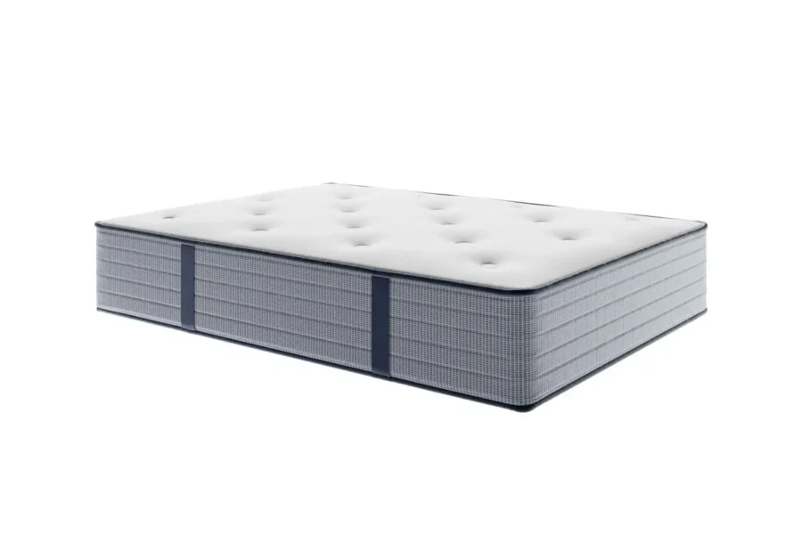 HANSEN Matelas à mémoire de forme + ressorts ensachés - 33cm d'épaisseur 140/190 cm